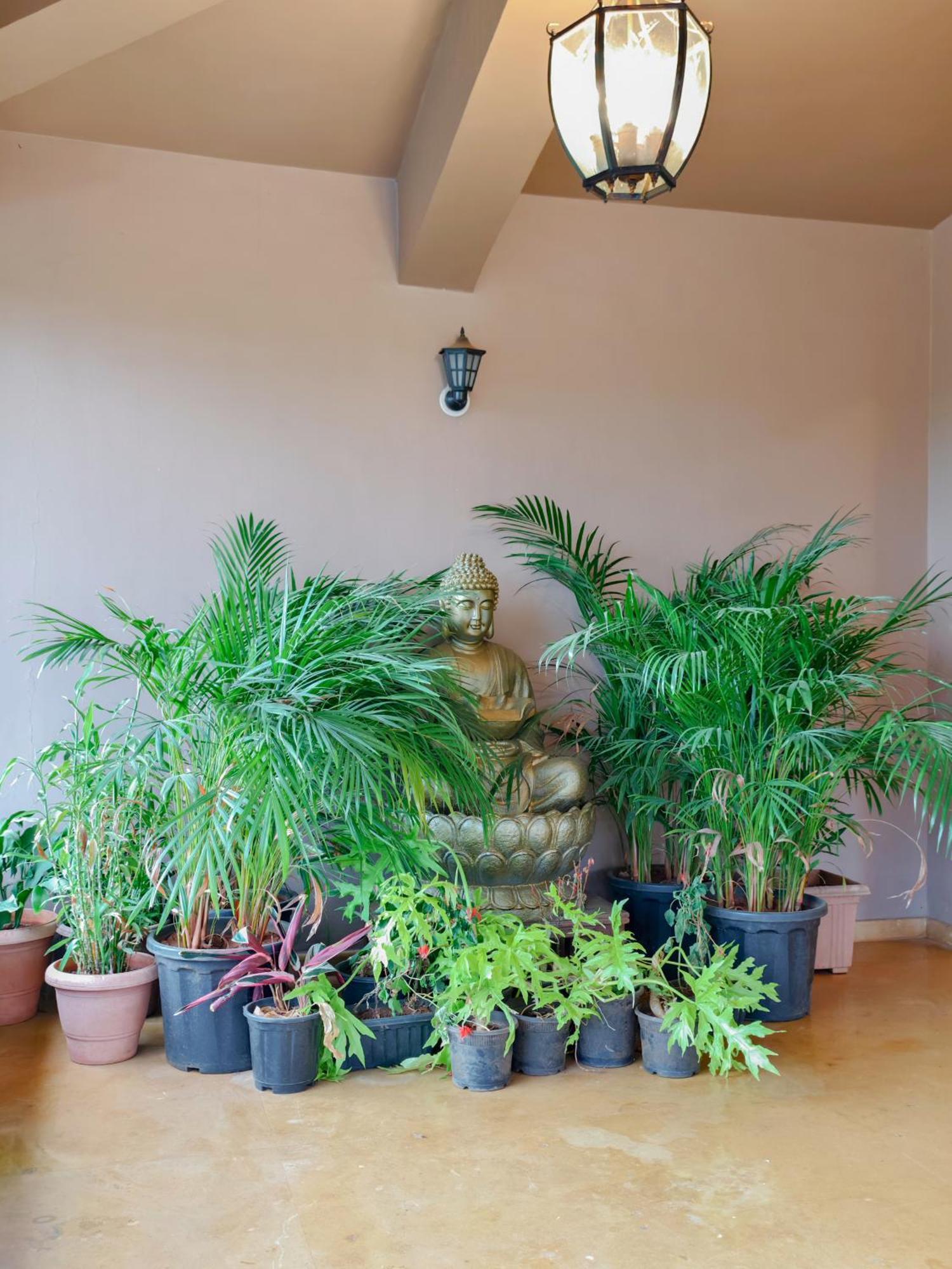 White Stallion Villa Lonavala Ngoại thất bức ảnh
